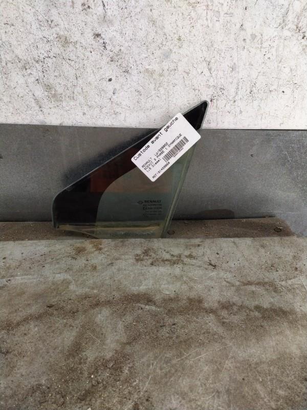 Custode avant gauche (porte) RENAULT SCENIC 3 PHASE 1 Diesel - 1