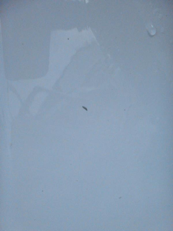 Portiera posteriore destra SEAT IBIZA 4 PHASE 1 Diésel - 1