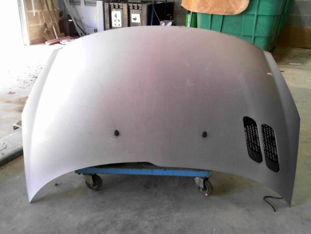 Capot PEUGEOT 206+ Diesel - 1