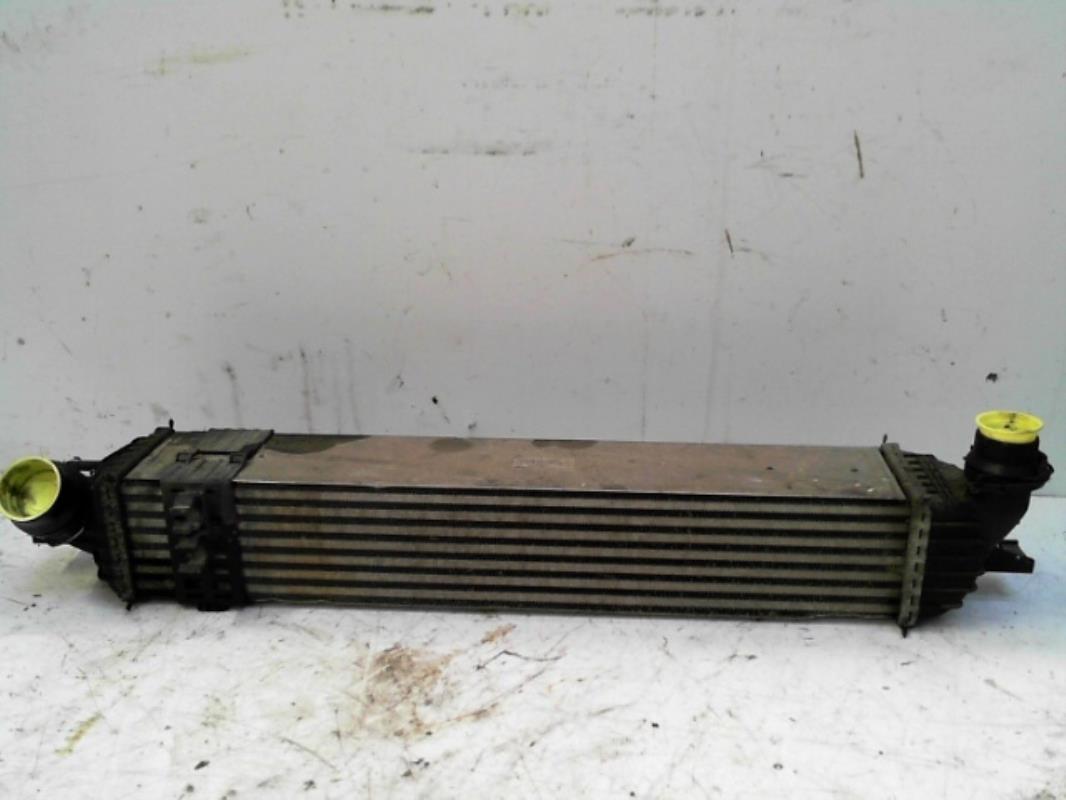 Echangeur air (Intercooler) RENAULT LAGUNA 3 PHASE 2 BREAK Diesel - 1