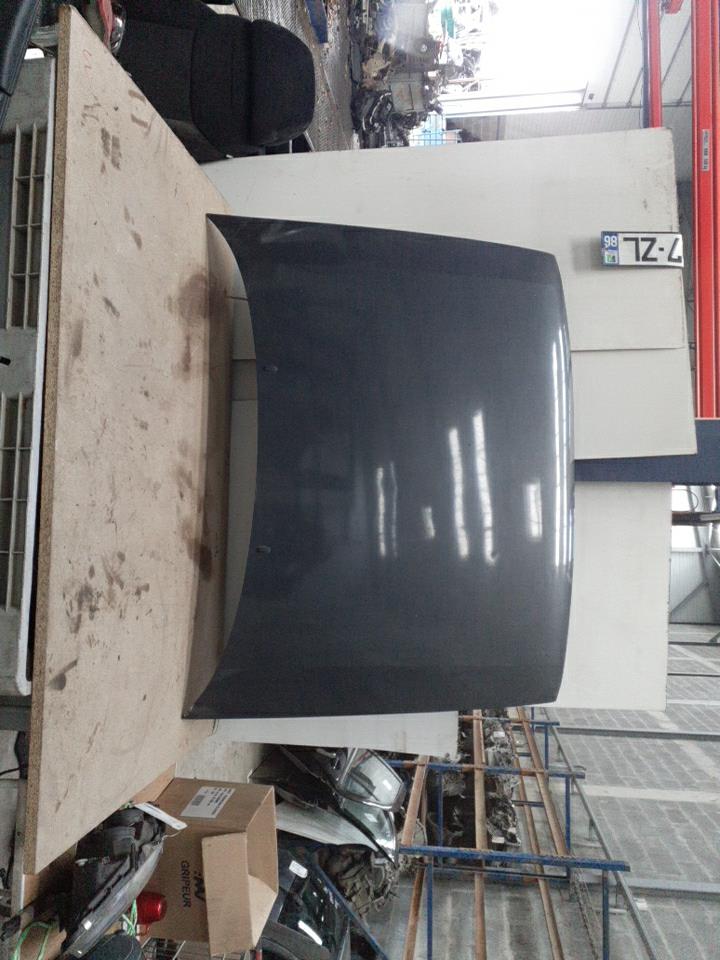 Capot SEAT TOLEDO 1 PHASE 1 Essence - 1