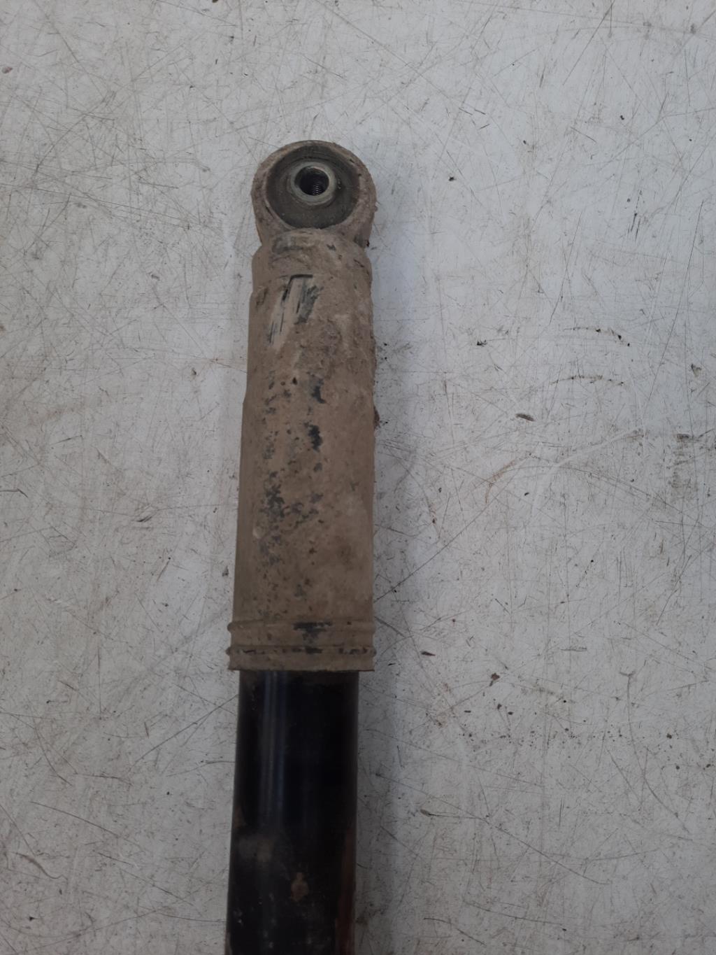 Ammortizzatore posteriore sinistro FIAT IDEA PHASE 1 Gasolina - 1