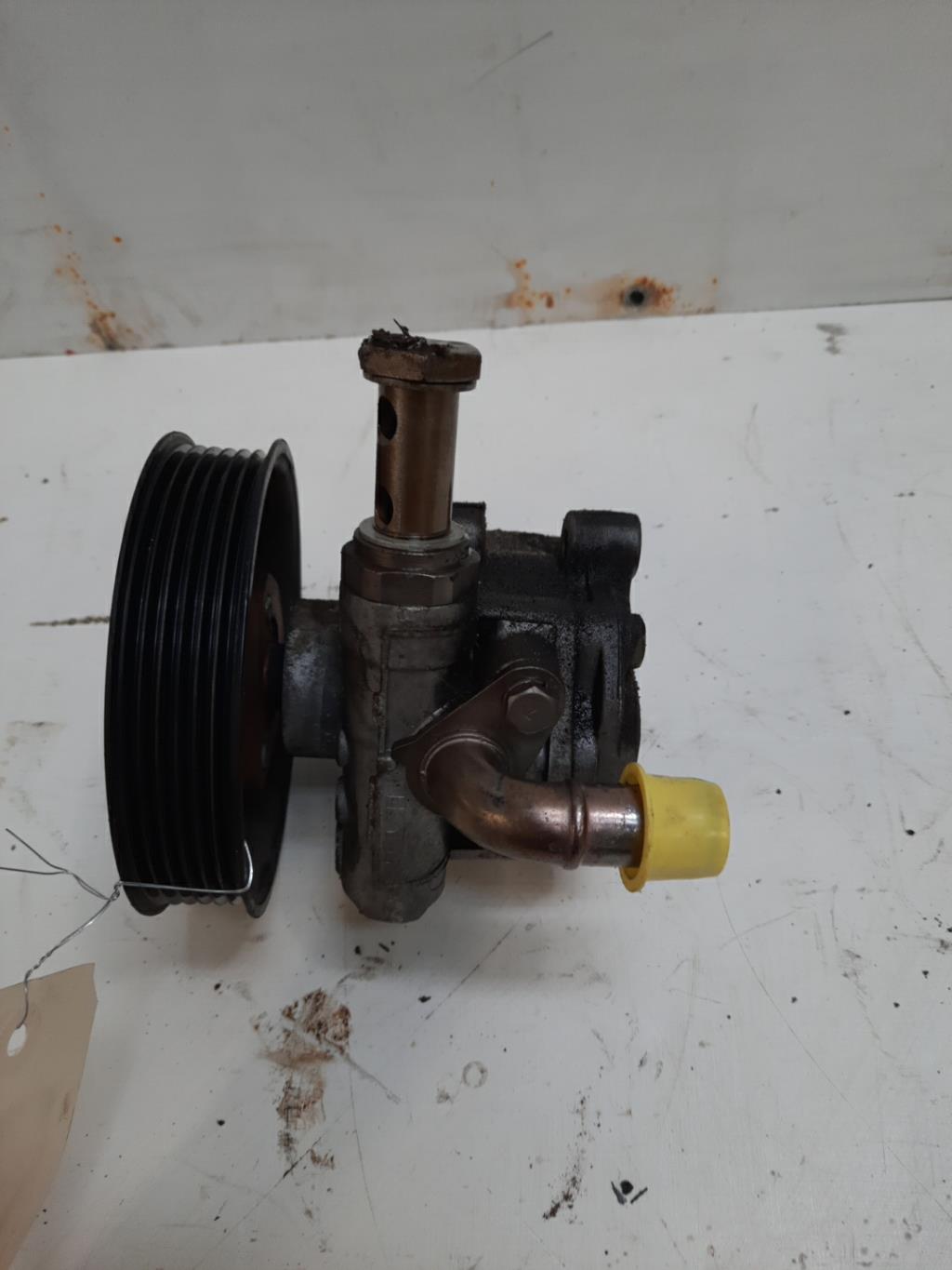 Pompa sterzo VOLKSWAGEN NEW BEETLE 1 PHASE 1 Gasolina - 1