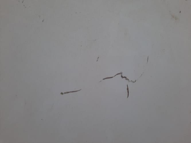 Photo de la pièce