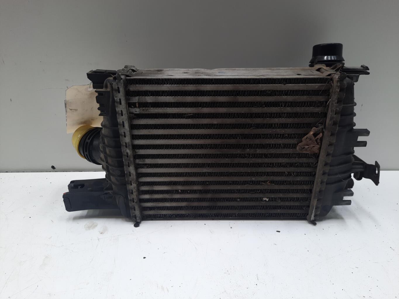 Echangeur air (Intercooler) RENAULT CLIO 4 PHASE 1 Diesel - 1