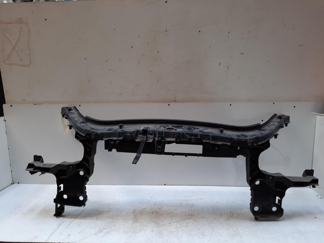 Pannellatura anteriore RENAULT SCENIC 2 PHASE 1  - 1
