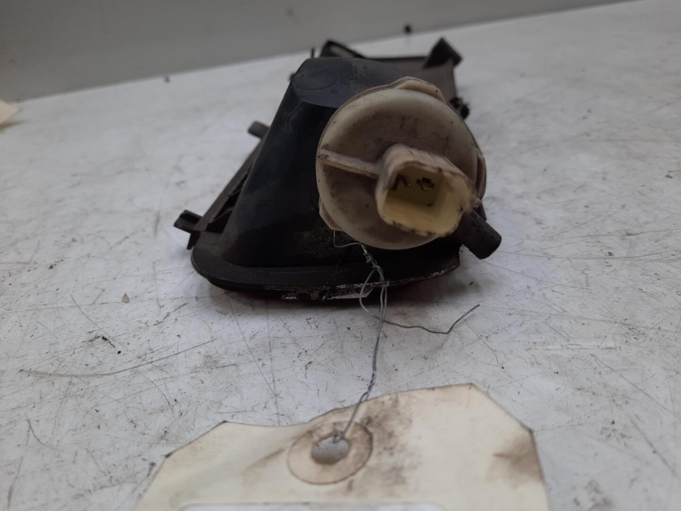 Retronebbia sinistro CITROEN C4 PICASSO 1  - 1