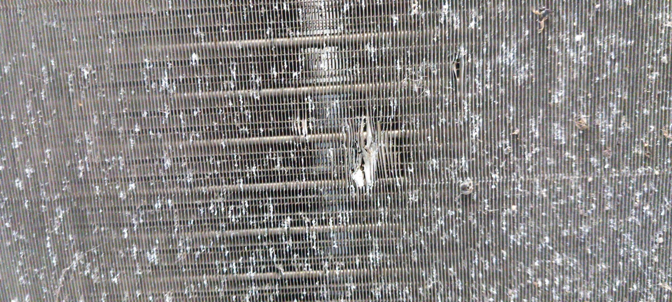 Radiateur eau RENAULT MODUS PHASE 1 Essence - 1