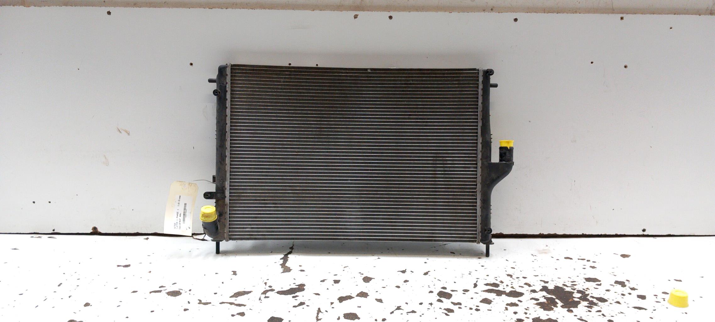 Radiateur eau DACIA DUSTER 1 PHASE 1 Diesel - 1