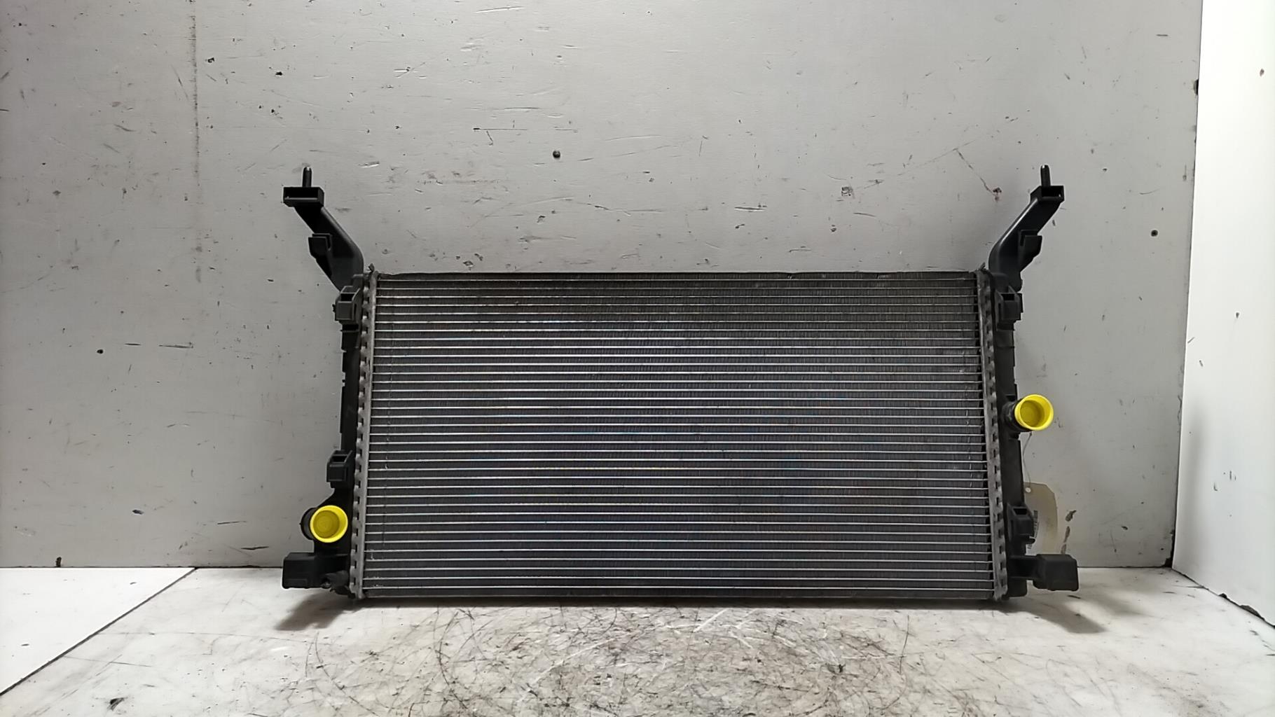 Radiateur eau RENAULT LAGUNA 3 PHASE 1 Diesel - 1