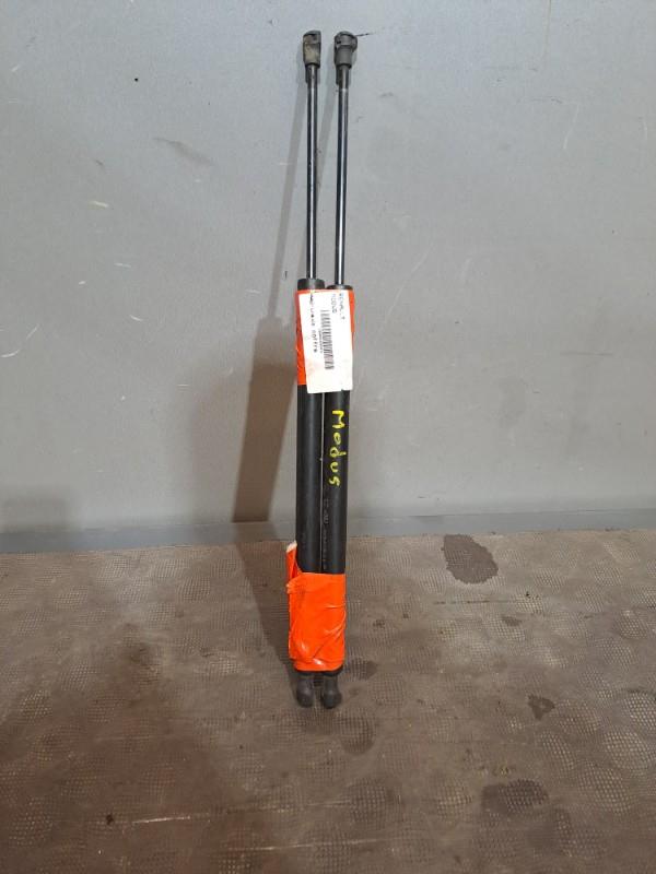 Amortiguador del maletero RENAULT MODUS  - 1