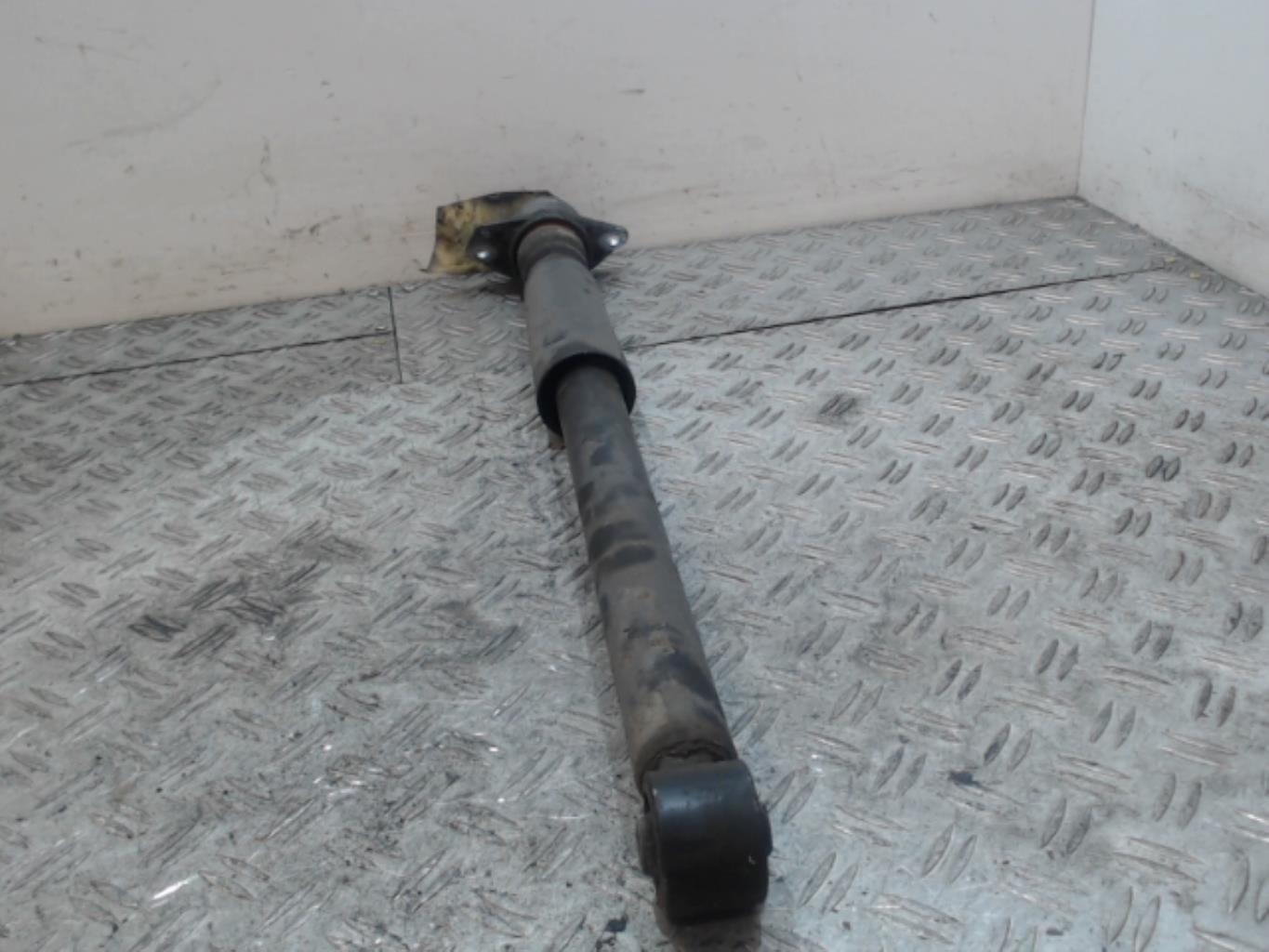 Ammortizzatore posteriore sinistro VOLKSWAGEN NEW BEETLE 1 PHASE 1 Gasolina - 1