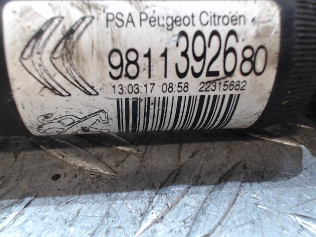 Ammortizzatore posteriore sinistro CITROEN C3 3  - 1
