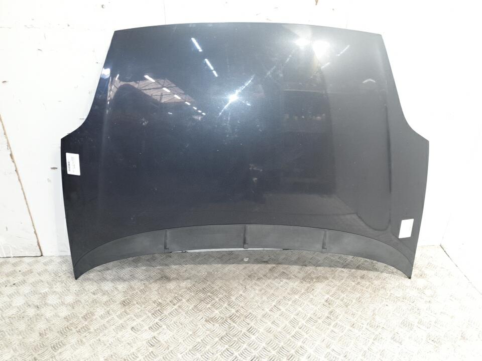 Capot fiat punto evo 3