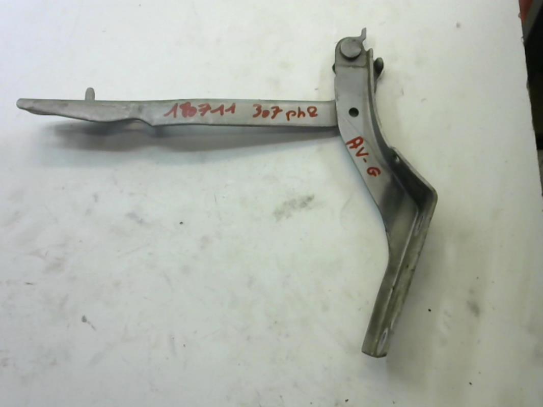 Charniere de capot PEUGEOT 307 PHASE 1 BREAK Diesel - 1