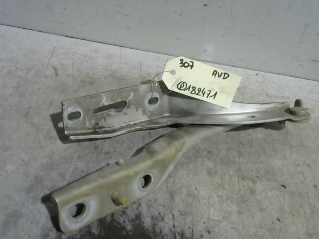 Charniere de capot PEUGEOT 307 PHASE 1 Diesel - 1