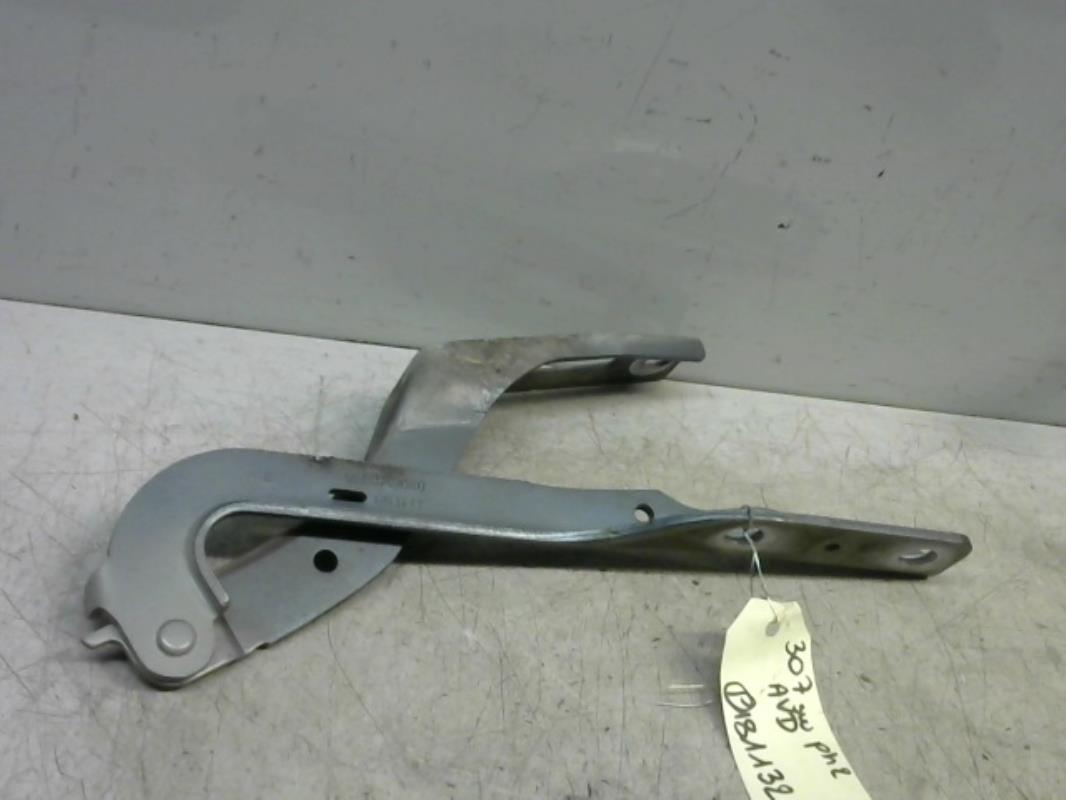 Charniere de capot PEUGEOT 307 PHASE 2 BREAK Diesel - 1