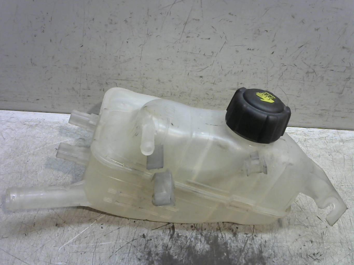 Vase d'expansion RENAULT SCENIC 3 PHASE 3 Diesel - 1
