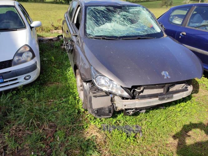 Image Etrier avant gauche (freinage) - PEUGEOT 308 2