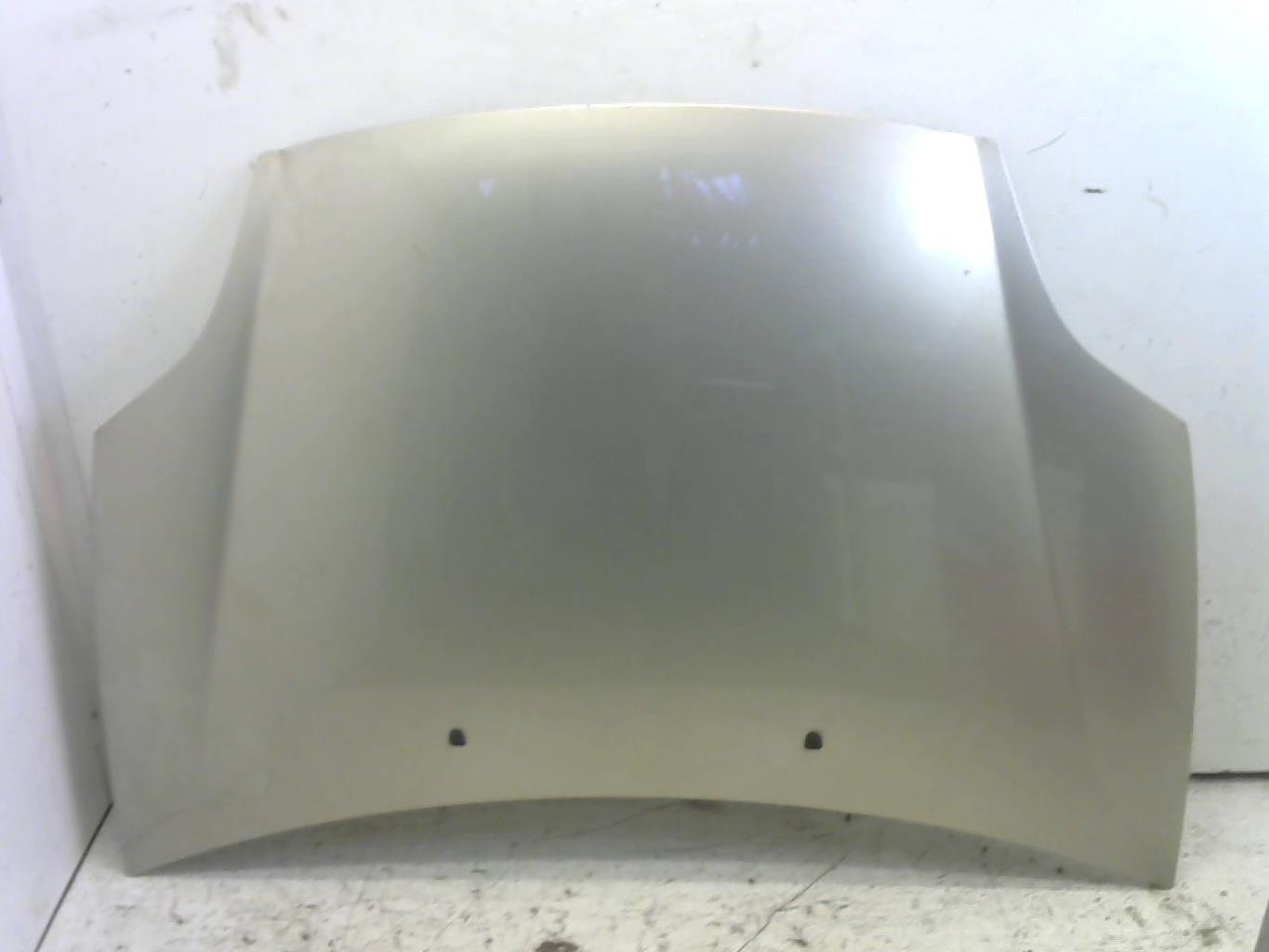 Capot FIAT BRAVO 2 Diesel - 1