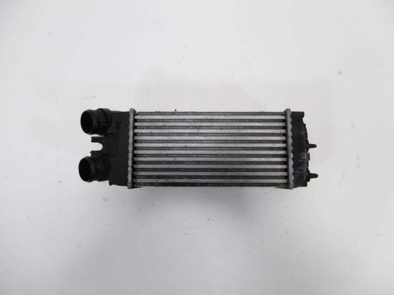 Scambiatore aria (Intercooler) CITROEN XSARA PICASSO Diésel - 1