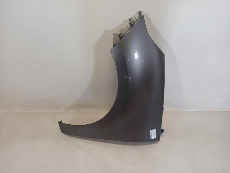 Parafango anteriore sinistro RENAULT GRAND SCENIC 3 PHASE 1 Diésel - 1