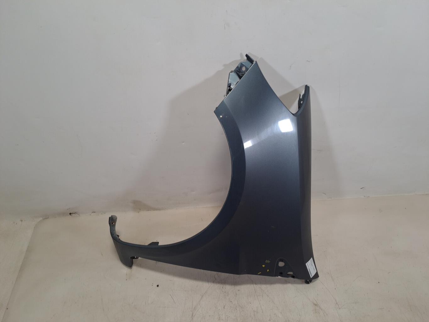 Parafango anteriore sinistro RENAULT CLIO 3 PHASE 1 Gasolina - 1
