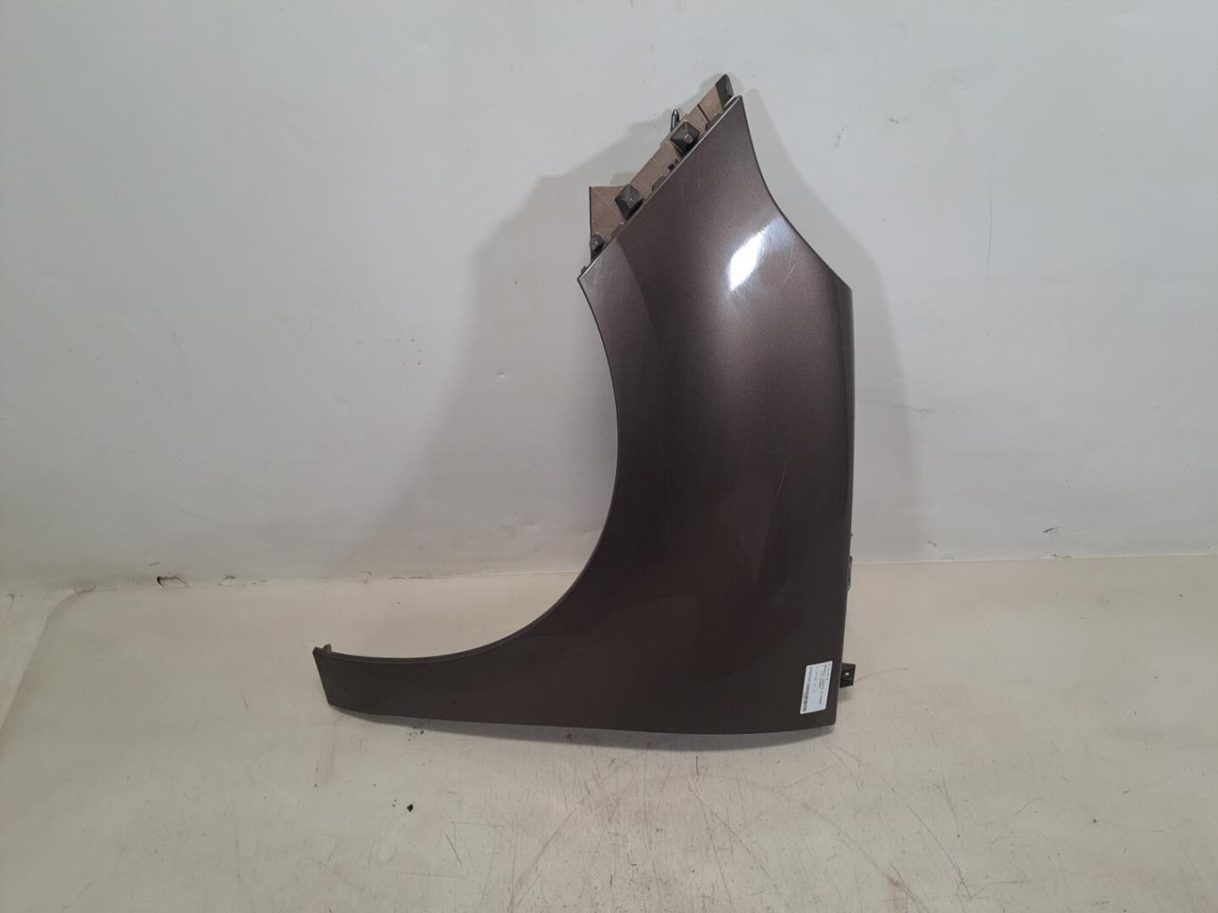 Parafango anteriore sinistro RENAULT SCENIC 3 PHASE 1 Diésel - 1