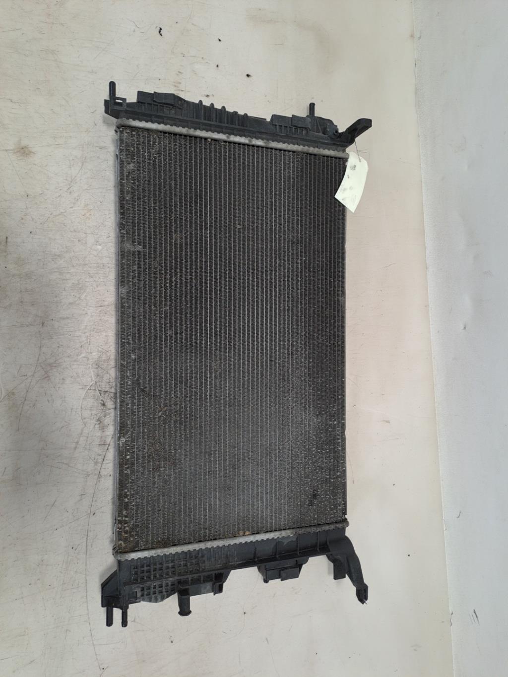 Radiateur eau RENAULT SCENIC 3 PHASE 1 Diesel - 1