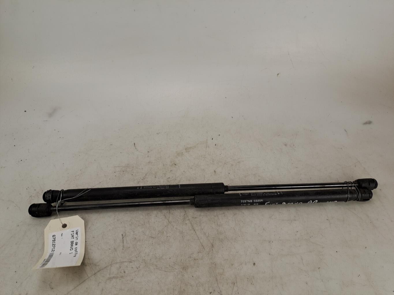 Molla a gas bagagliaio FIAT BRAVO 1  - 1