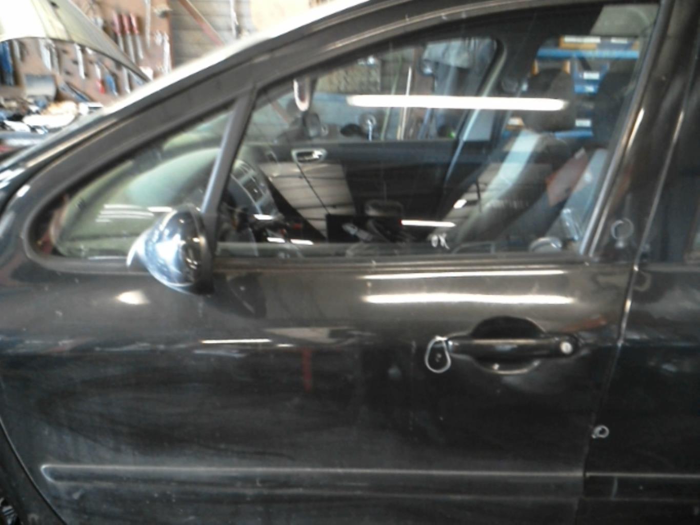 Portiera anteriore sinistra PEUGEOT 307 PHASE 2 Diésel - 1