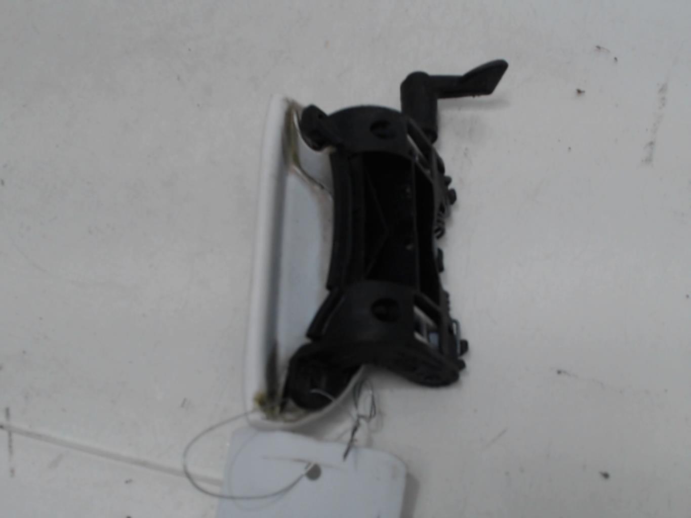 Maniglia portiera posteriore sinistra PEUGEOT 206+ Diésel - 1