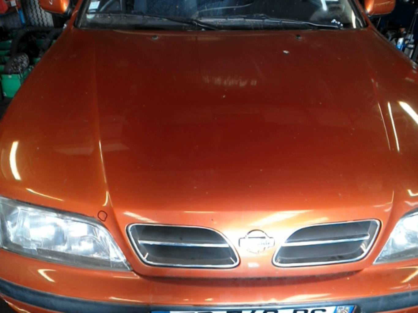 Cofano NISSAN PRIMERA 2 PHASE 1 Diésel - 1