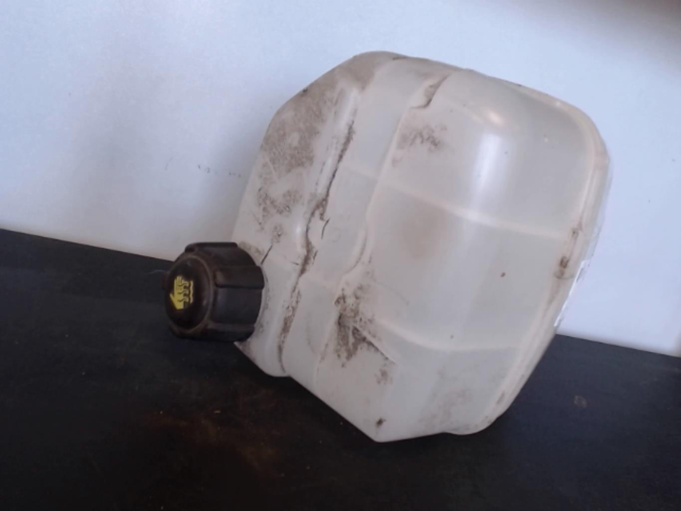 Vaso de expansión RENAULT KANGOO 2 PHASE 1 Electricidad - 1
