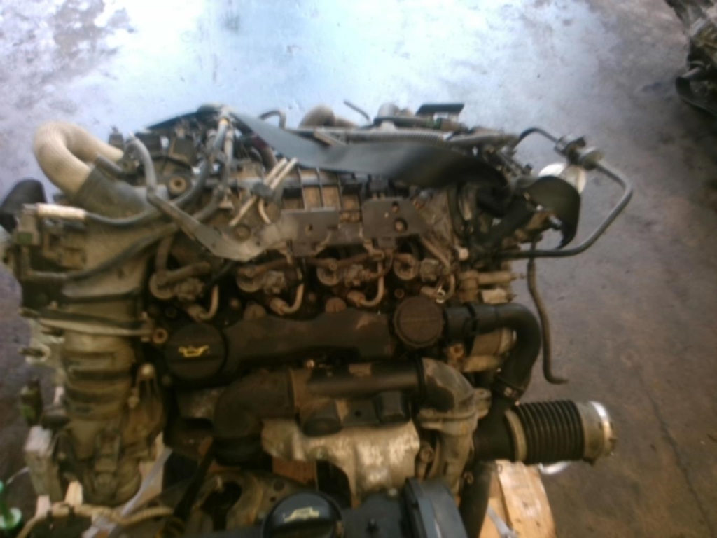 Motore FORD FIESTA 6 PHASE 1 Diésel - 1