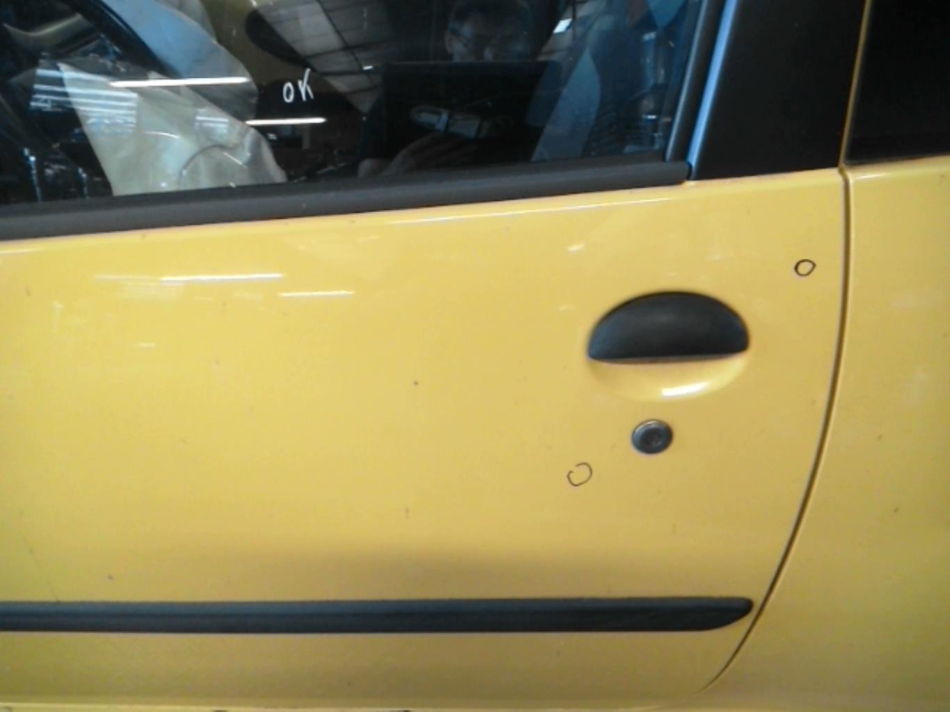 Portiera anteriore sinistra PEUGEOT 107 PHASE 1 Gasolina - 1