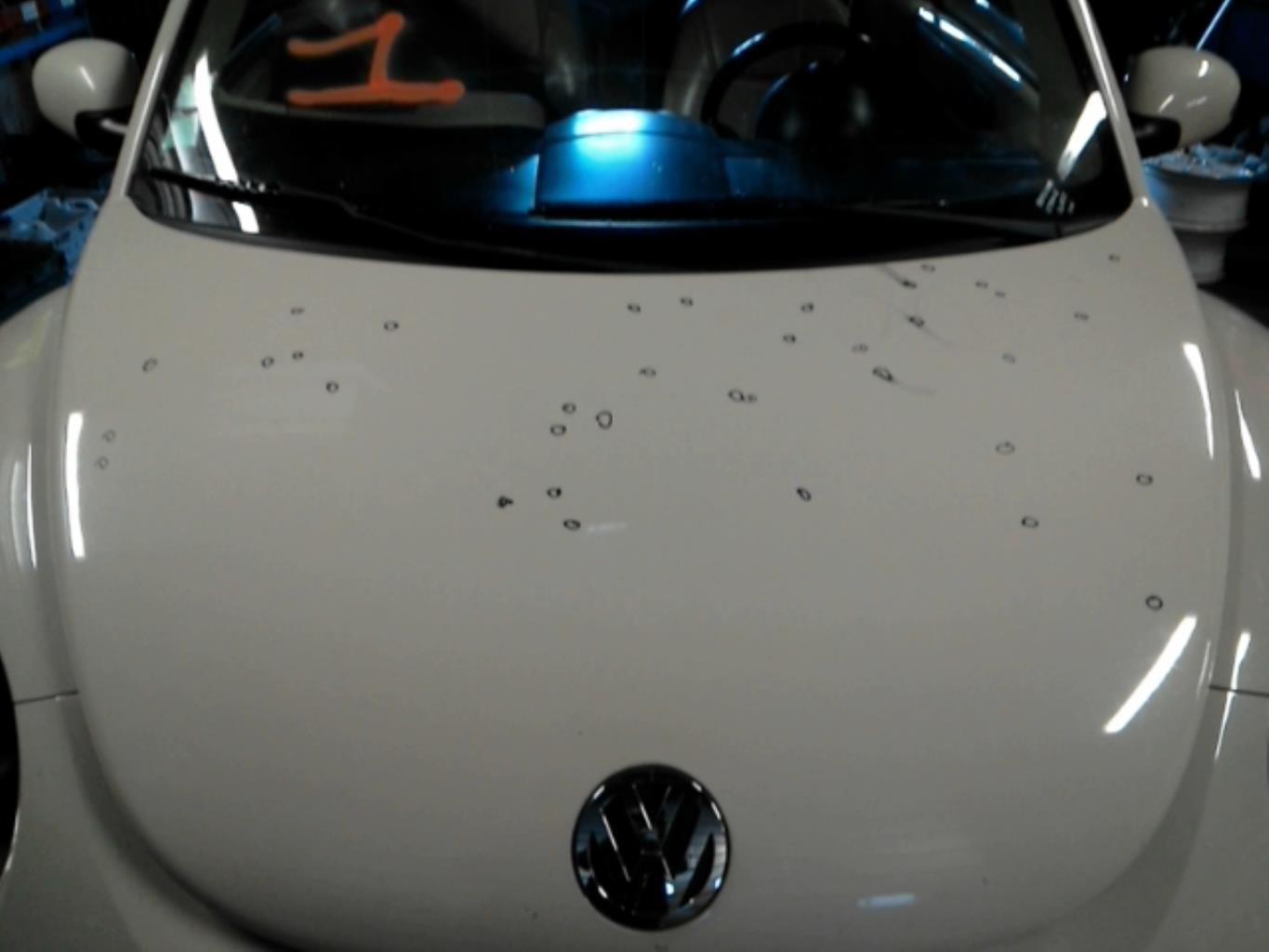 Capó VOLKSWAGEN NEW BEETLE 1 PHASE 2 CABRIOLET Gasolina - 1