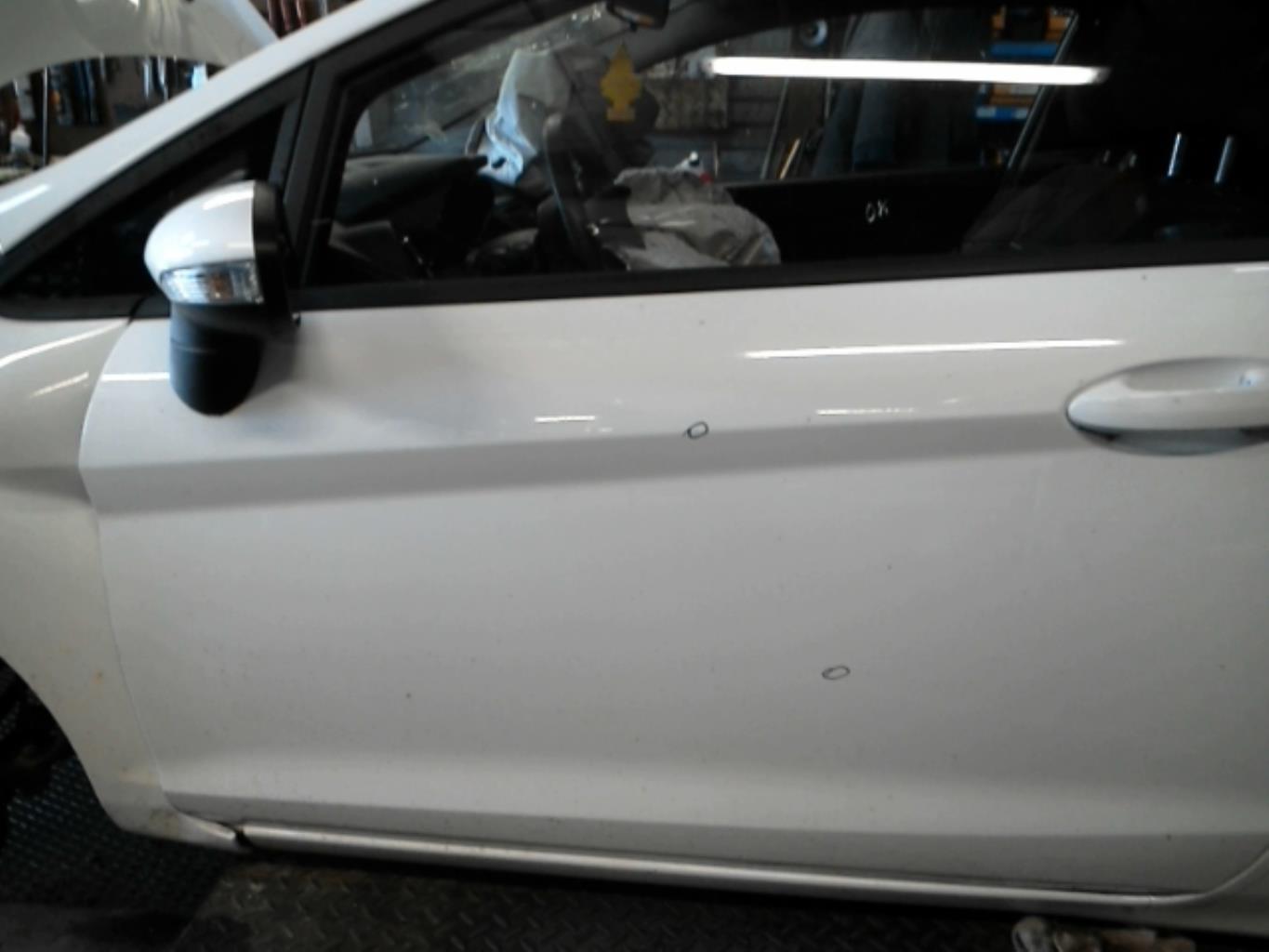 Portiera anteriore sinistra FORD FIESTA 6 PHASE 2 Gasolina - 1