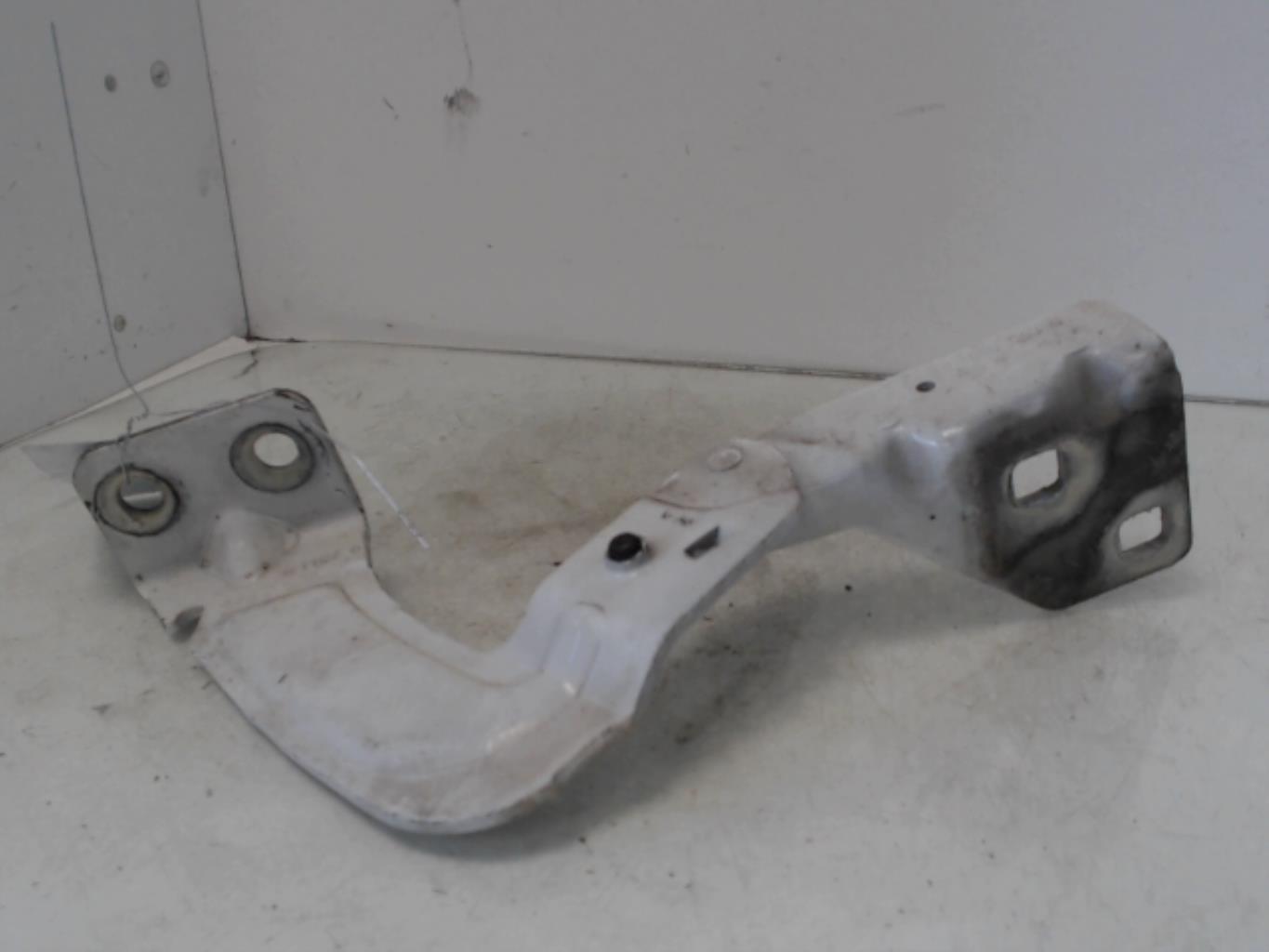 Charniere de capot RENAULT KANGOO 1 PHASE 2 Diesel - 1