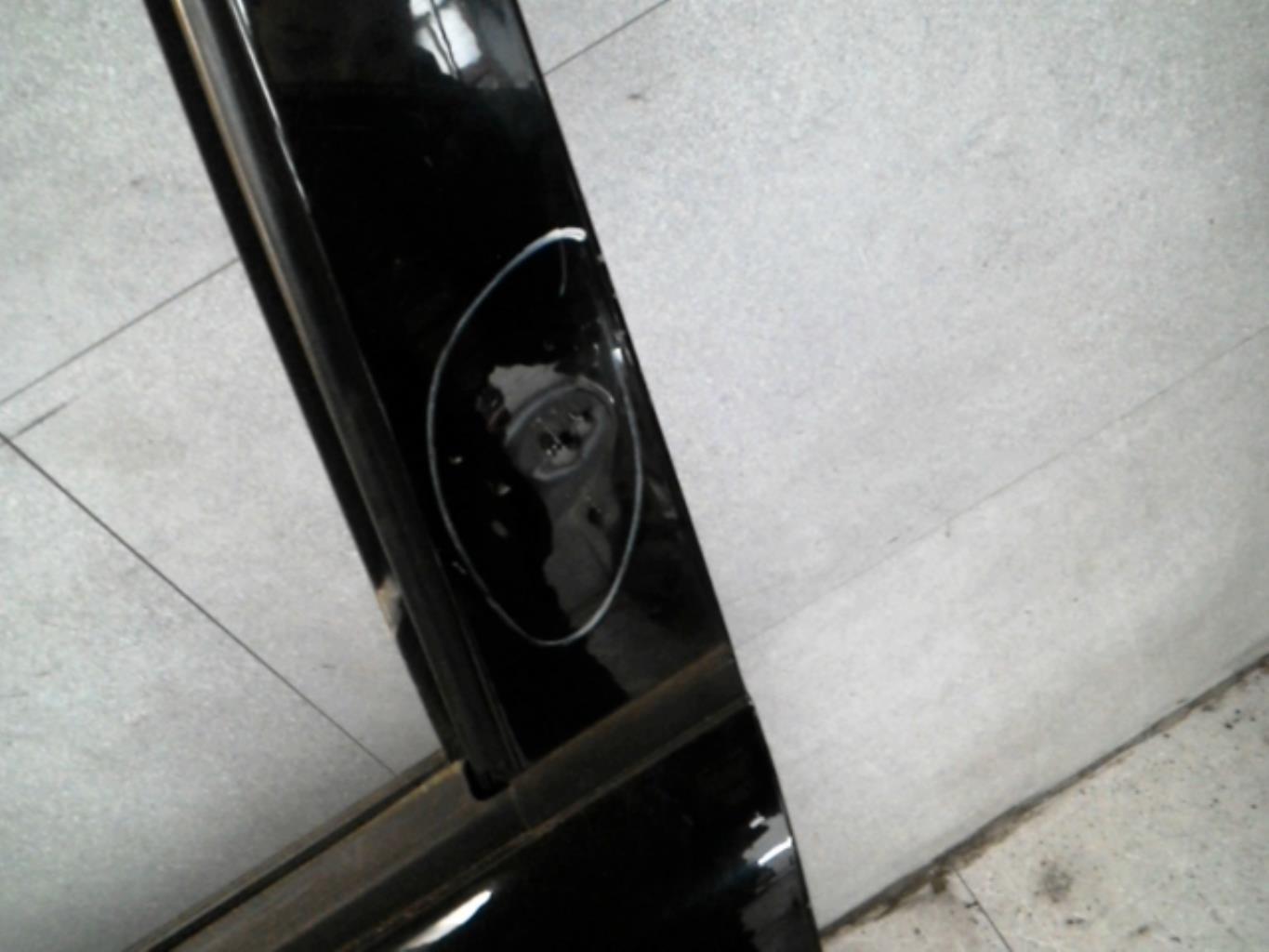 Portiera anteriore sinistra CITROEN C3 1 PHASE 2 Gasolina - 1