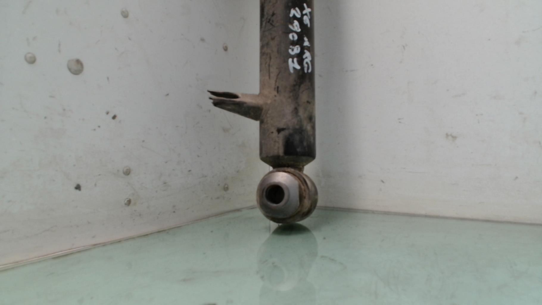 Ammortizzatore posteriore sinistro BMW X6 E71 PHASE 1 Diésel - 1