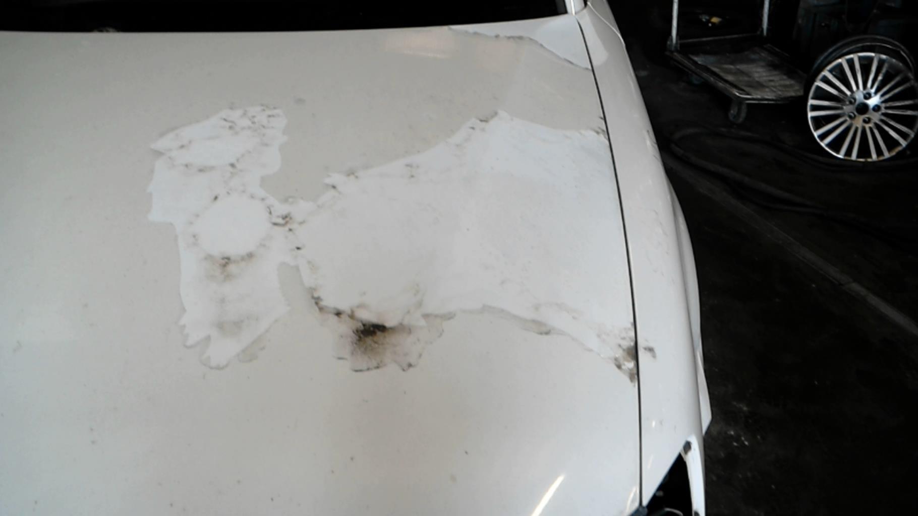 Capot VOLKSWAGEN PASSAT 4 PHASE 1 Diesel - 1
