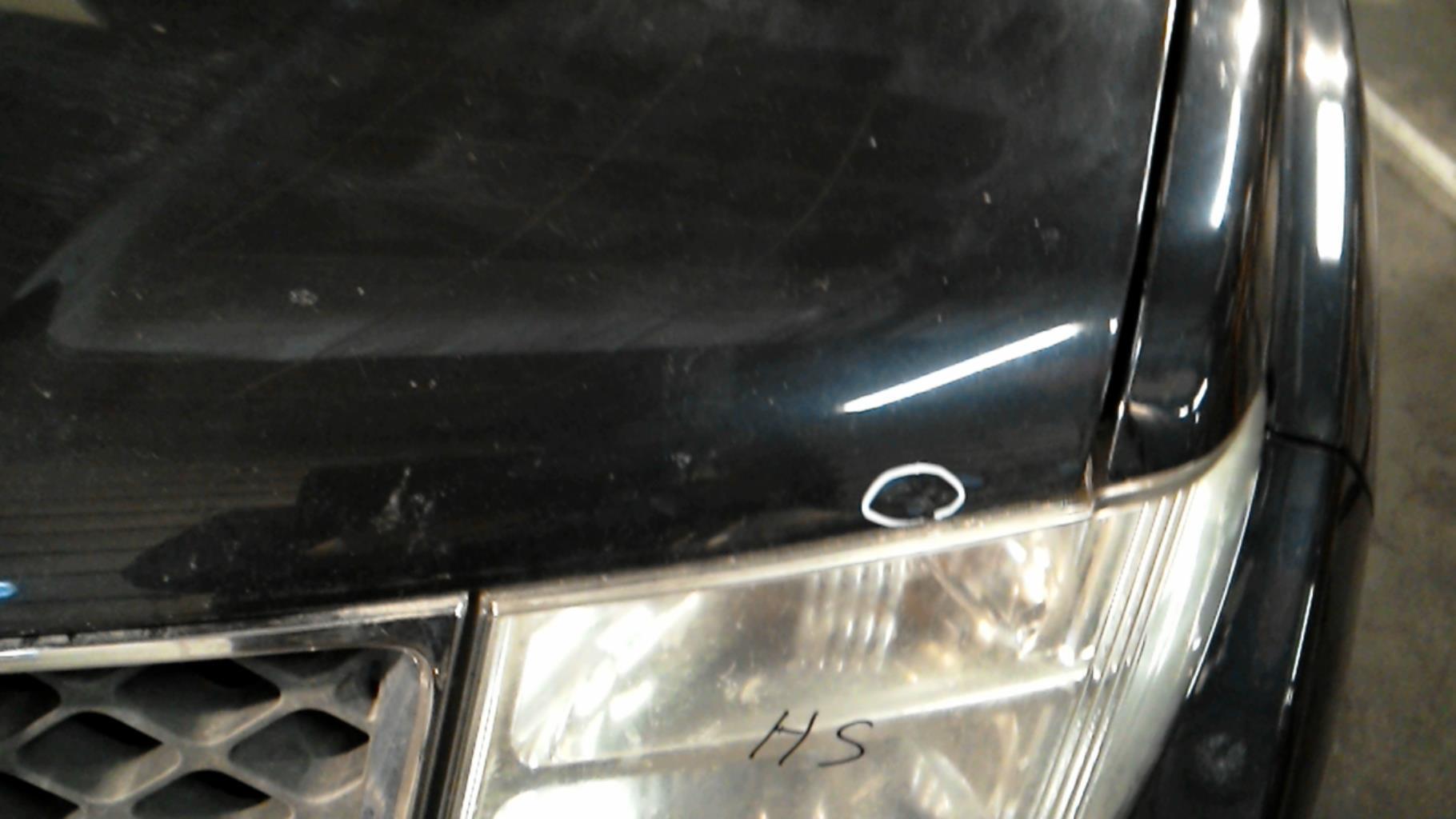 Cofano NISSAN PATHFINDER 2 PHASE 1 Diésel - 1
