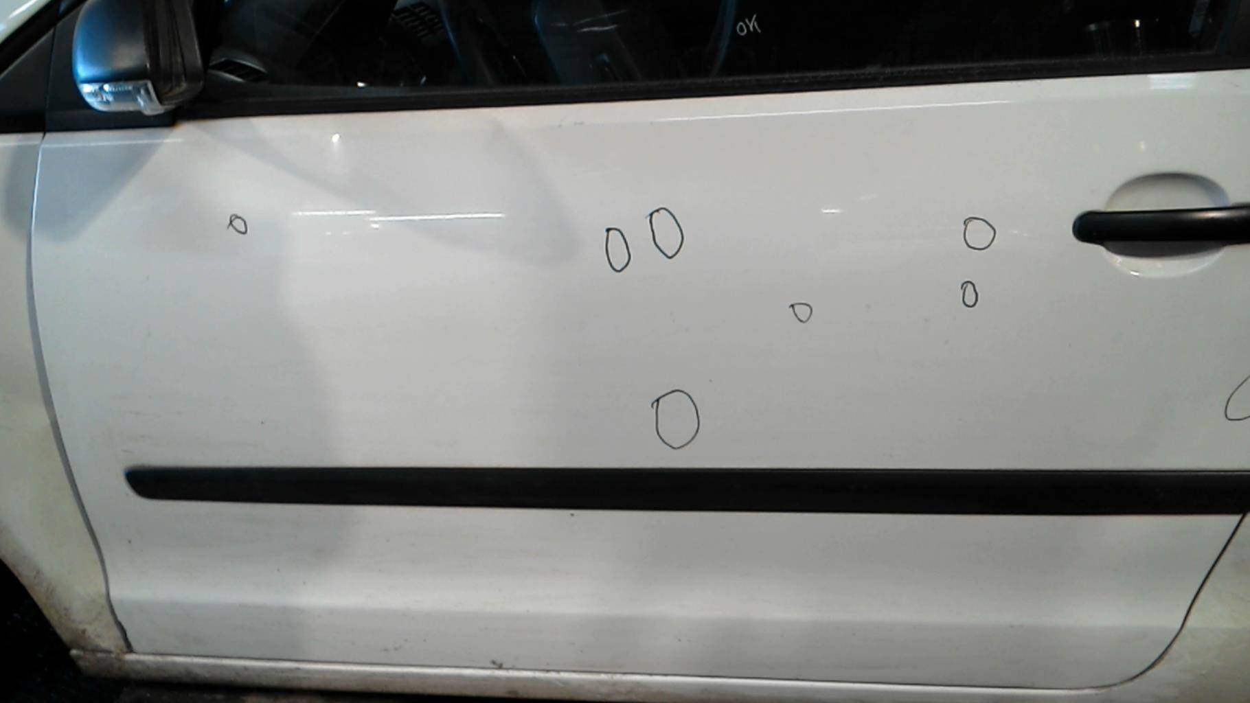 Portiera anteriore sinistra VOLKSWAGEN POLO 4 PHASE 2 Diésel - 1