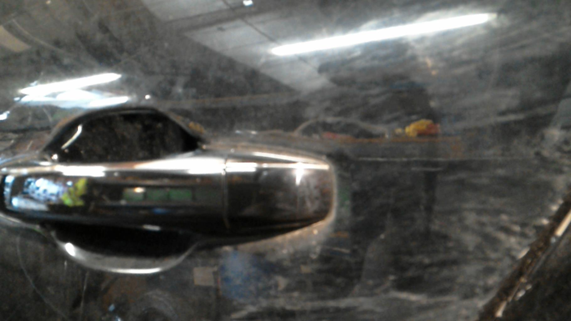 Maniglia portiera posteriore sinistra RENAULT SCENIC 4 Diésel - 1
