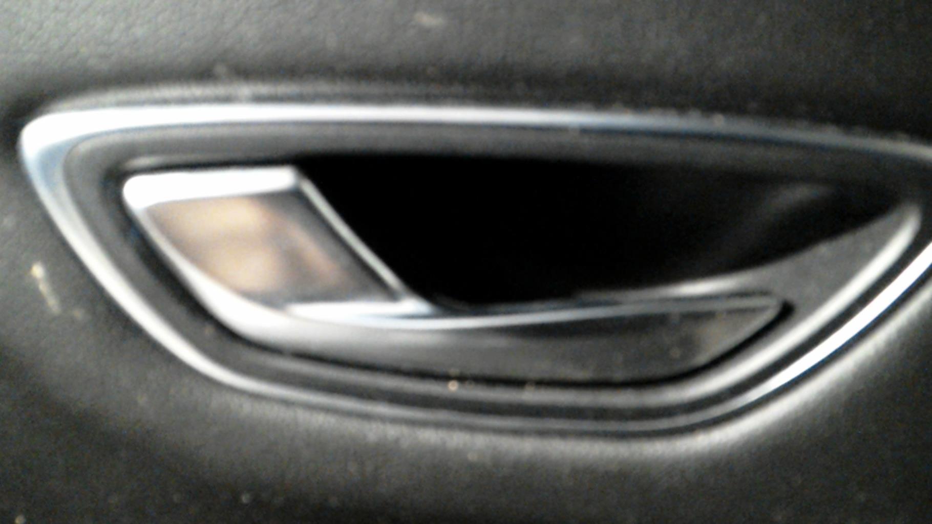 Maniglia interna posteriore sinistra RENAULT SCENIC 4 Diésel - 1