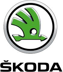 Vitre avant droit SKODA FABIA 2 PHASE 2 Diesel - 1