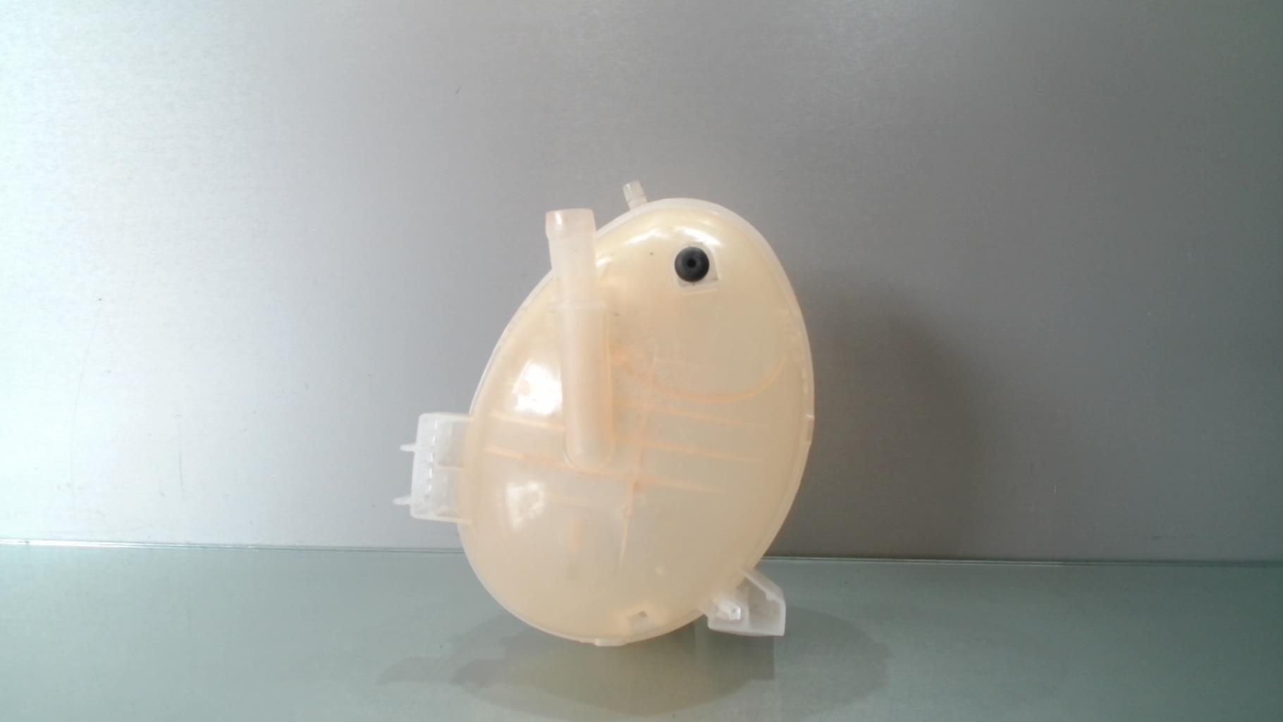 Vaso di espansione FORD FIESTA 7 PHASE 1 Gasolina - 1