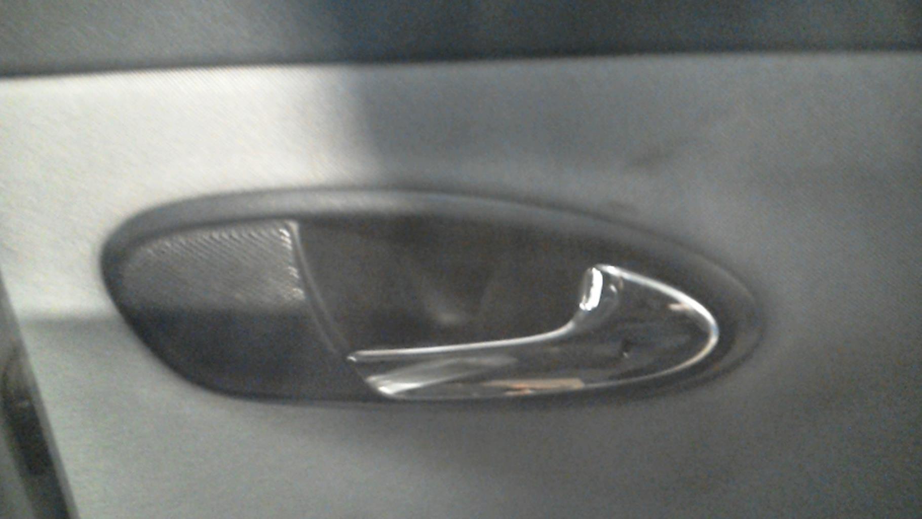 Maniglia interna posteriore destra SEAT LEON 2 PHASE 1 Diésel - 1