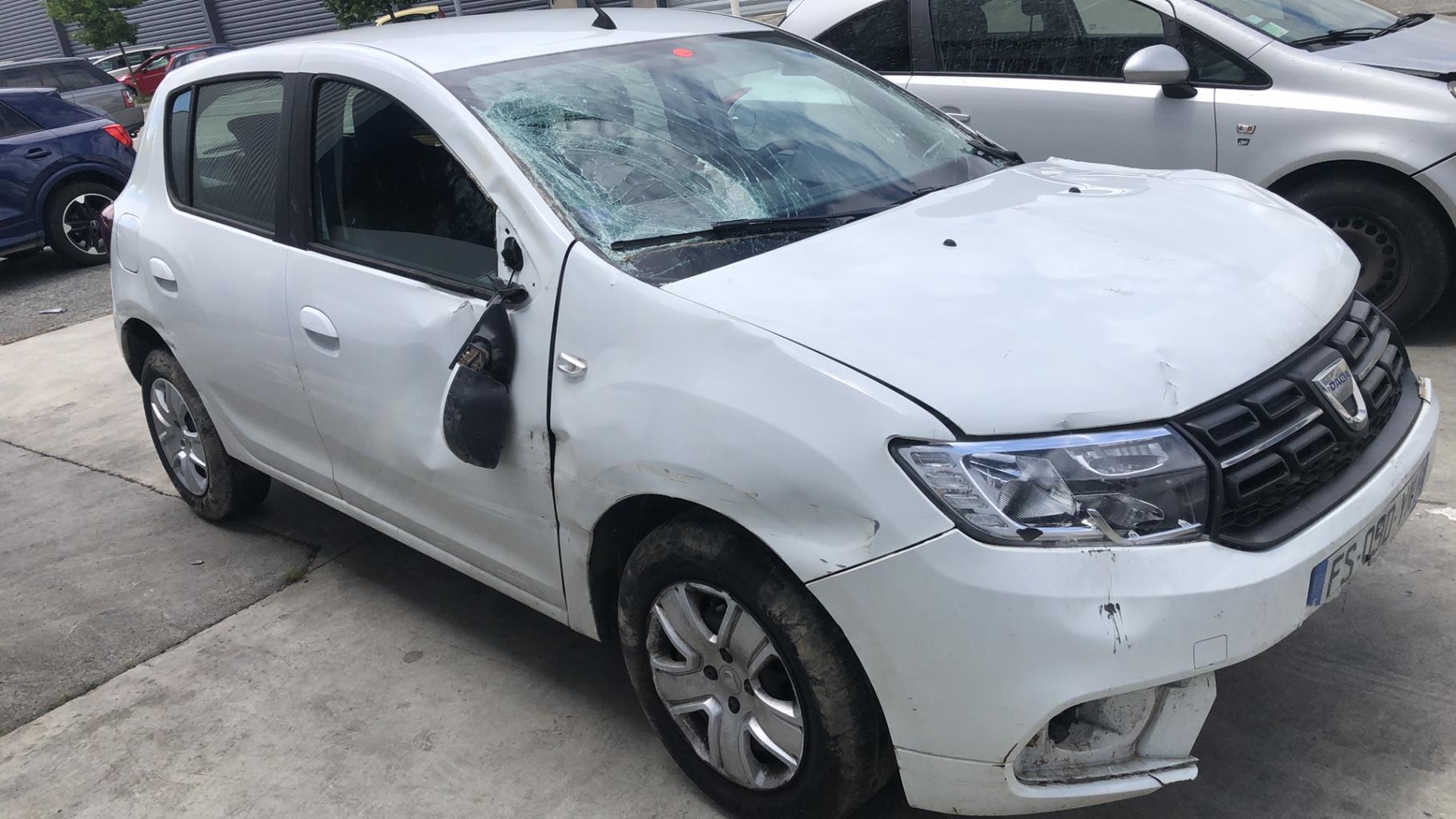 Custode arriere droit (porte) DACIA SANDERO 2 PHASE 2 Essence - 1